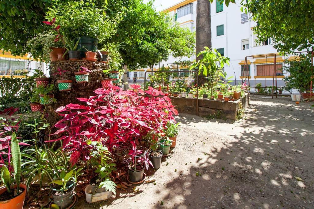 Apartamento A Los Pies Del Alcazar Севиля Екстериор снимка